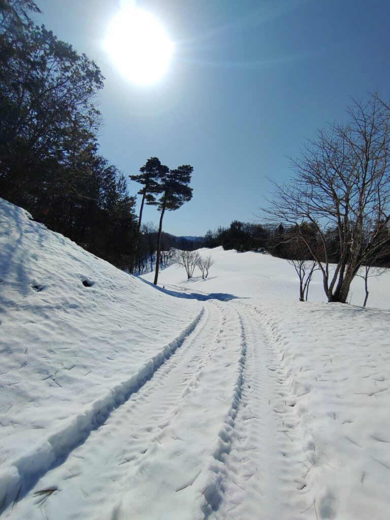 2025/2/16 15番ホールの様子