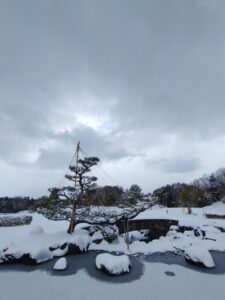 2026/1/22の積雪情報